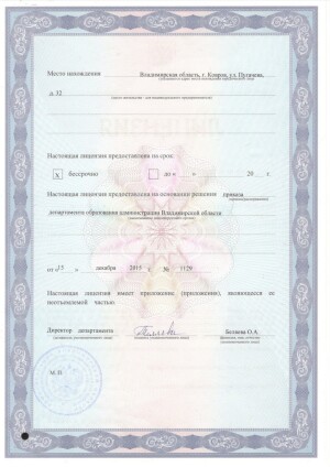 Сертификат 2 - изображение